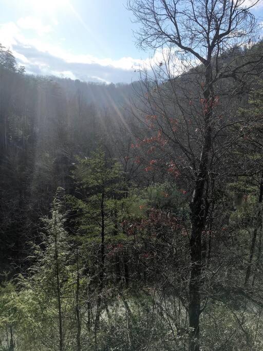 Little Cabin All To Yourself เซอเวียร์วีล ภายนอก รูปภาพ